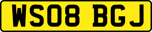 WS08BGJ