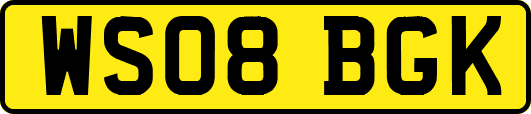 WS08BGK