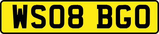 WS08BGO