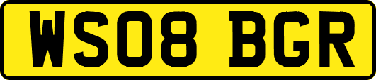 WS08BGR