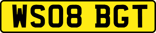 WS08BGT