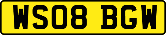 WS08BGW