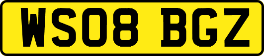 WS08BGZ
