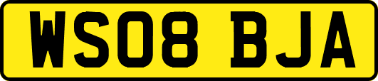 WS08BJA