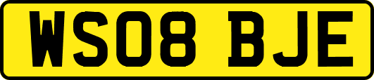 WS08BJE
