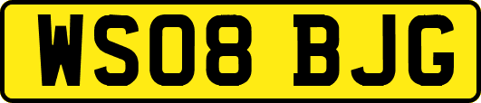 WS08BJG
