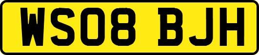 WS08BJH