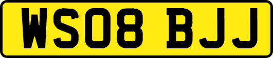 WS08BJJ