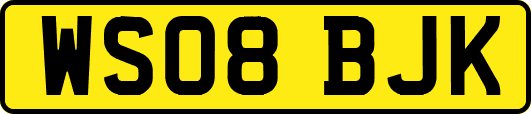WS08BJK
