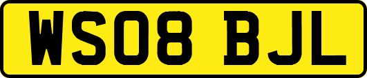 WS08BJL
