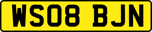 WS08BJN