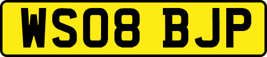 WS08BJP