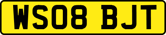 WS08BJT
