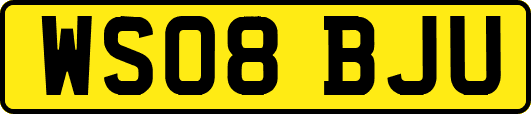 WS08BJU