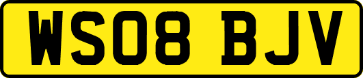 WS08BJV