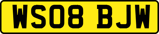 WS08BJW