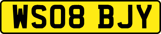 WS08BJY
