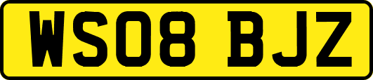 WS08BJZ