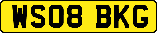WS08BKG