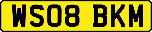 WS08BKM