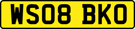 WS08BKO