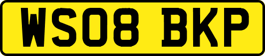 WS08BKP