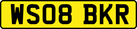 WS08BKR