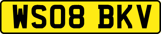 WS08BKV