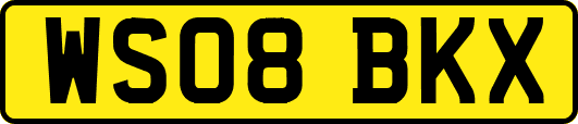 WS08BKX