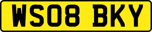WS08BKY