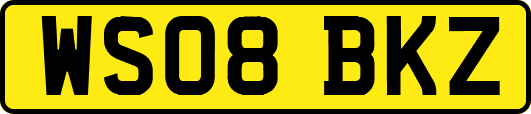 WS08BKZ