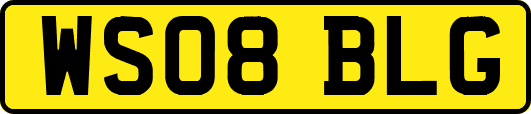 WS08BLG