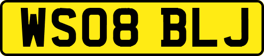 WS08BLJ