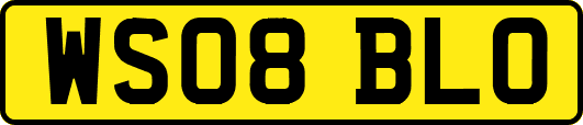 WS08BLO
