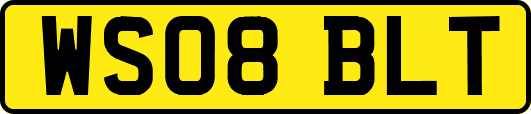WS08BLT