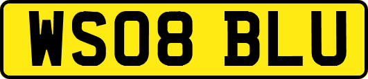 WS08BLU