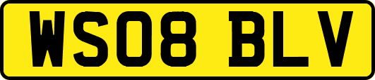 WS08BLV