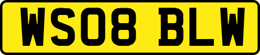 WS08BLW