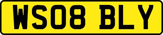WS08BLY