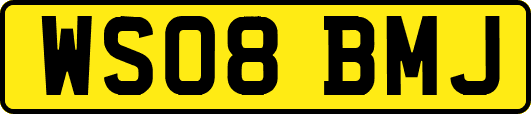 WS08BMJ
