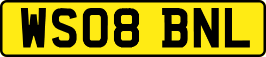 WS08BNL