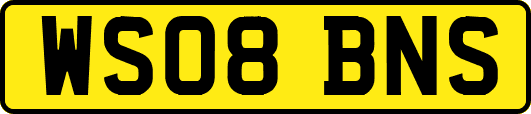 WS08BNS