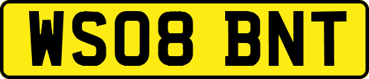 WS08BNT