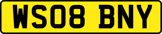 WS08BNY