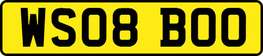 WS08BOO