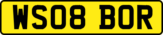 WS08BOR