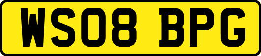 WS08BPG
