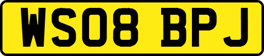 WS08BPJ