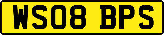 WS08BPS