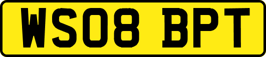 WS08BPT